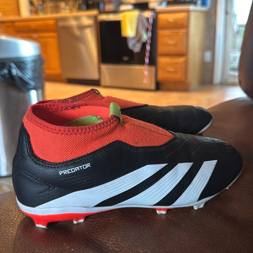 Adidas Laceless Predator Soccer Cleats